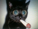 moj macak